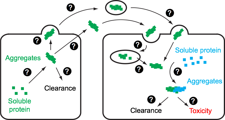 view electron scattering in solid matter a theoretical and computational