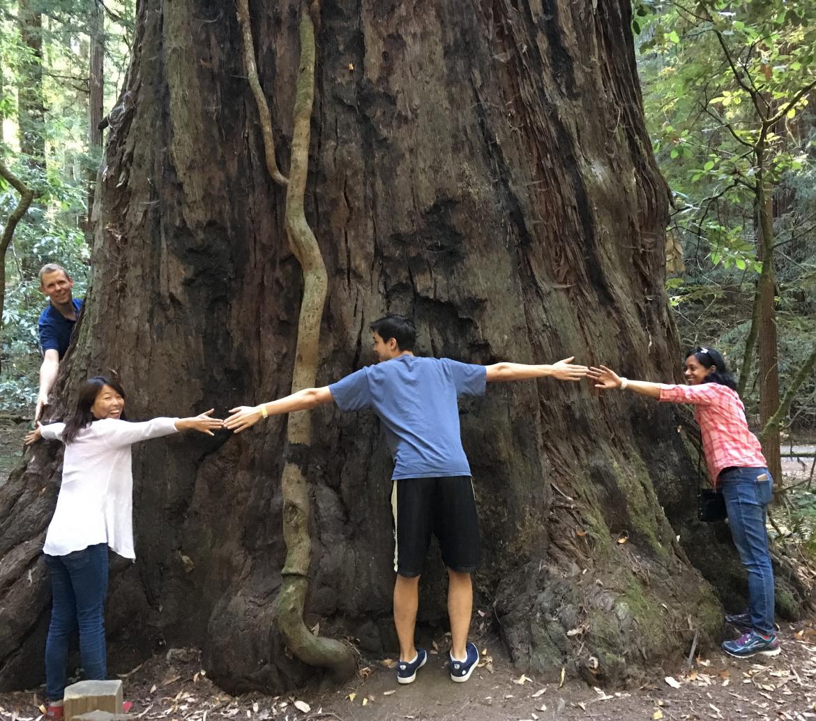 Kampmann lab retreat: Tree hugging