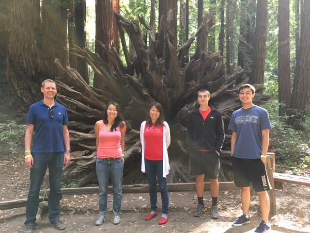 Kampmann lab retreat: Armstrong Redwoods