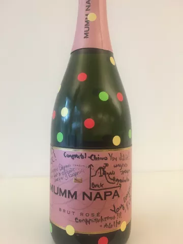 Stephanie See Kampmann lab Quals Bubbly