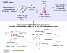 Kampmann Lab immunotherapy CRISPR