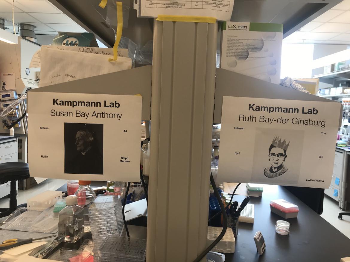 Kampmann Lab women science